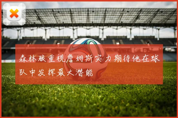森林狼重视詹姆斯实力期待他在球队中发挥最大潜能