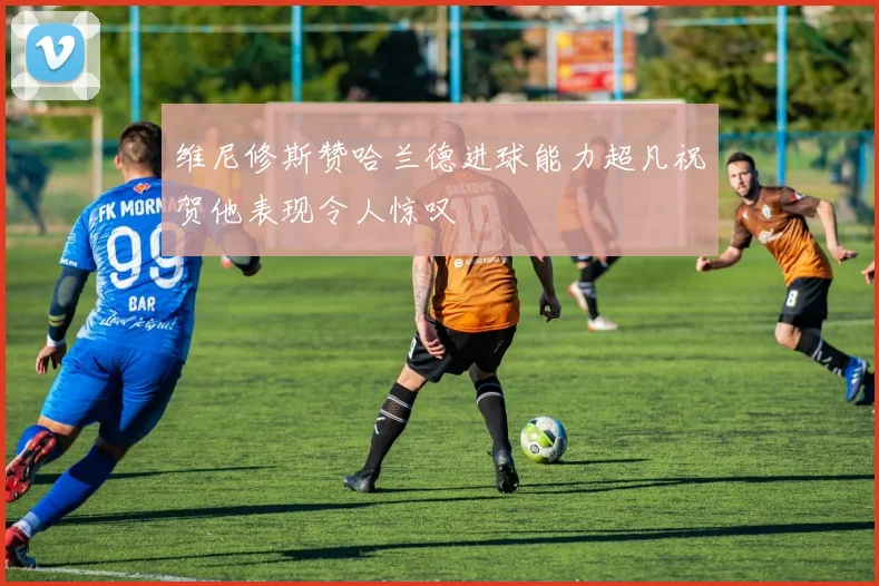 维尼修斯赞哈兰德进球能力超凡祝贺他表现令人惊叹