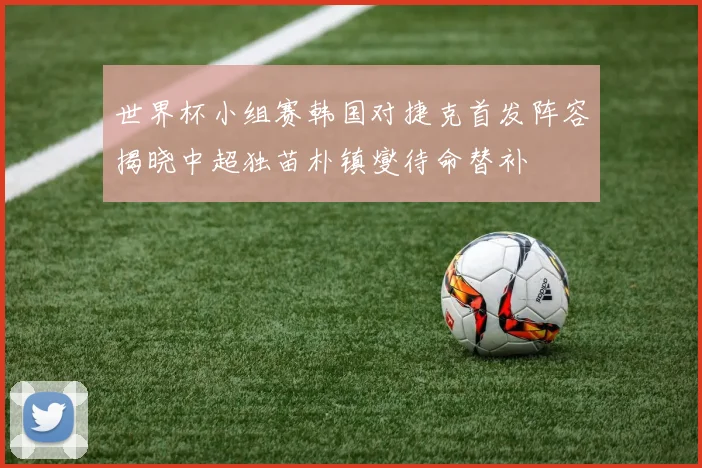 世界杯小组赛韩国对捷克首发阵容揭晓中超独苗朴镇燮待命替补