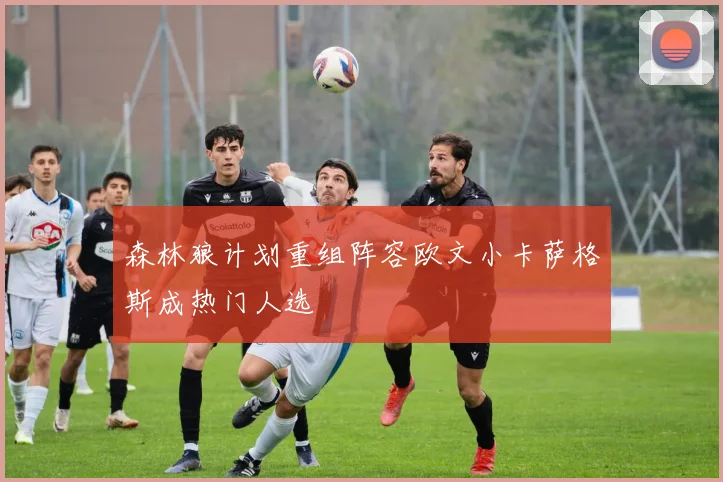 森林狼计划重组阵容欧文小卡萨格斯成热门人选